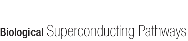 Superconductivity